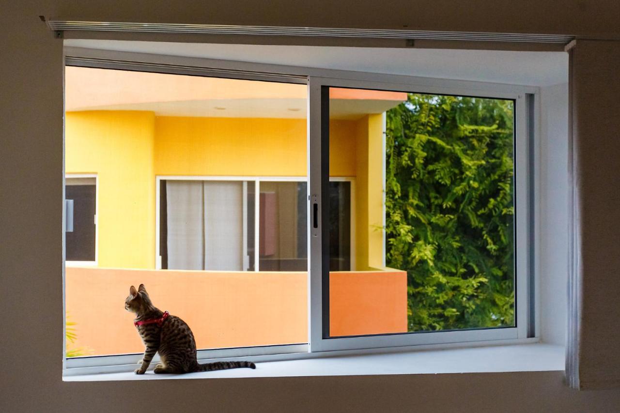 Kaam Accommodations Puerto Morelos Bagian luar foto